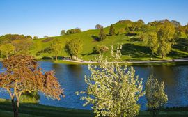 Grün bewachsener Olympiaberg im Olympiapark