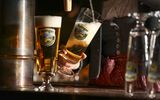 Bier wird in ein Bierglas mit dem Logo der Ayinger Privatbrauerei eingeschenkt.