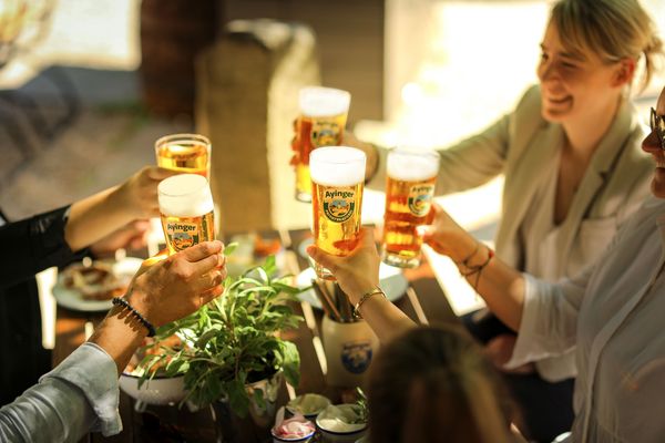 Freudige Gruppe im Wirtsgarten